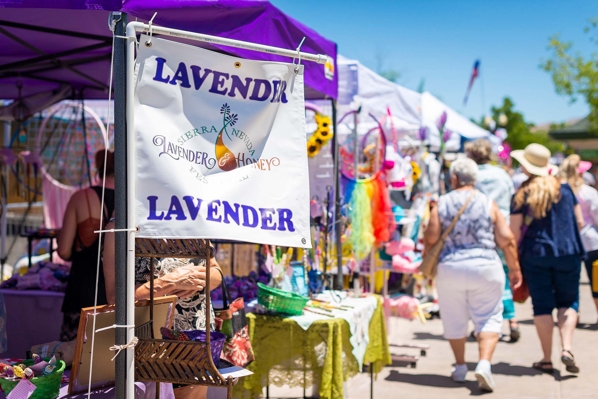 2025 Sierra Nevada Lavender and Honey Festival